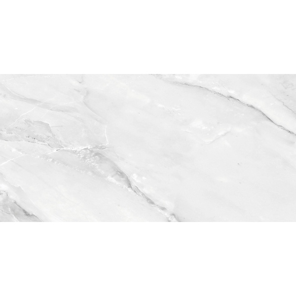 Absolut Gres Aquarelle AB 1187G Grey Gloss 60x120