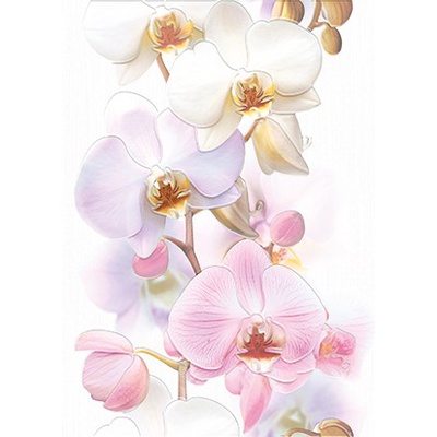 Cersanit Tropicana Orchids (TC2M051DT) 35x25