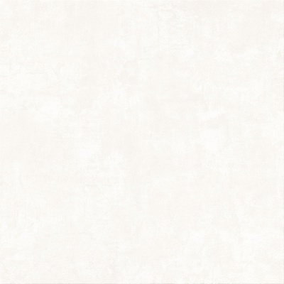 Meissen (Mei) Winter Vine C-FG4W053D 59.8x59.8