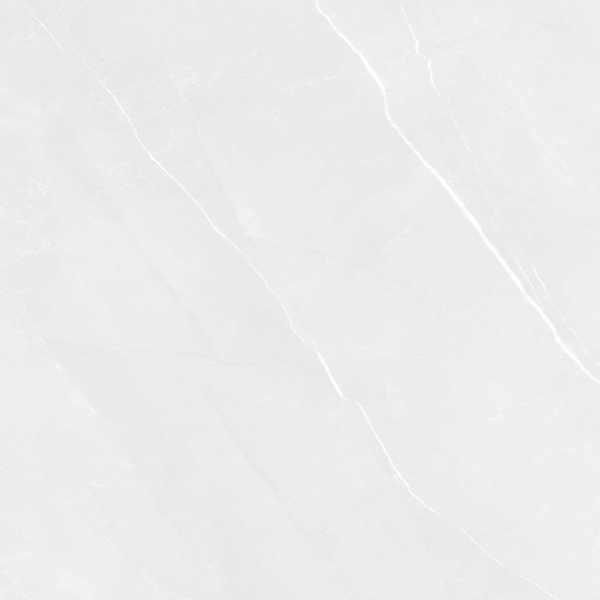 Pardis Ceramic Pazh Fluorite 166513 Polished 60x60