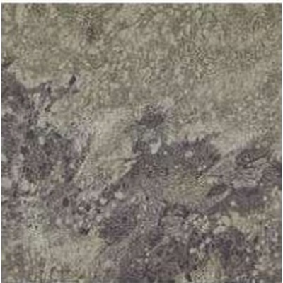 Fmg Graniti Verde Tropical 40 Prelevigato 40x40