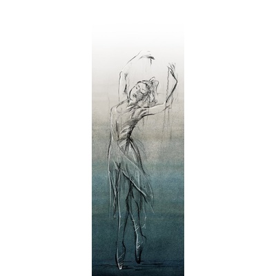 Cotto D’Este Wonderwall Ballet C 100x300