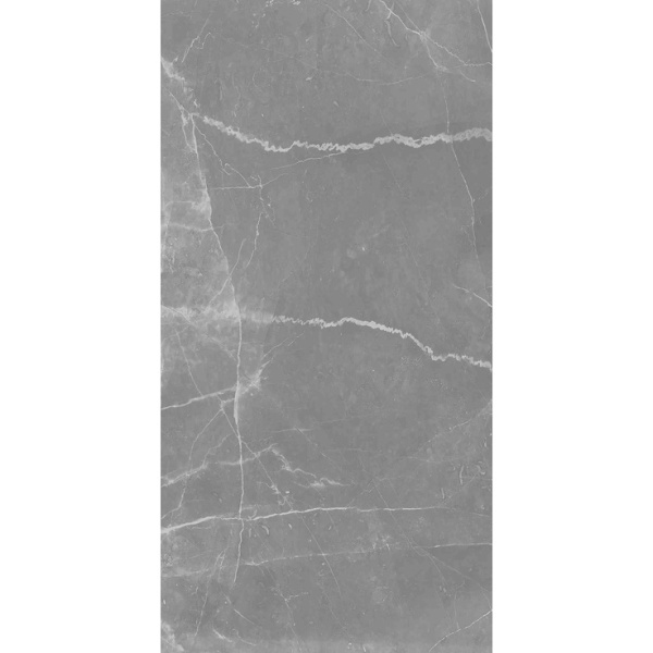 Arcadia Ceramica Cerasa RT7014-A Grey 60x120 - керамическая плитка и керамогранит