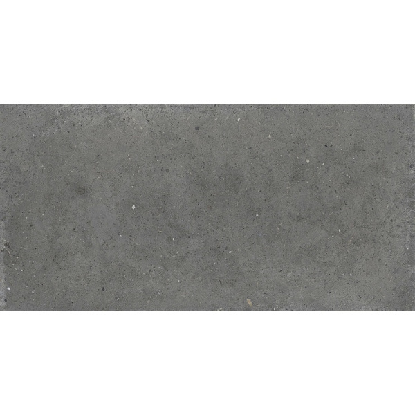 Iris Ceramica Whole 892718 Stone Grey Naturale 60x120