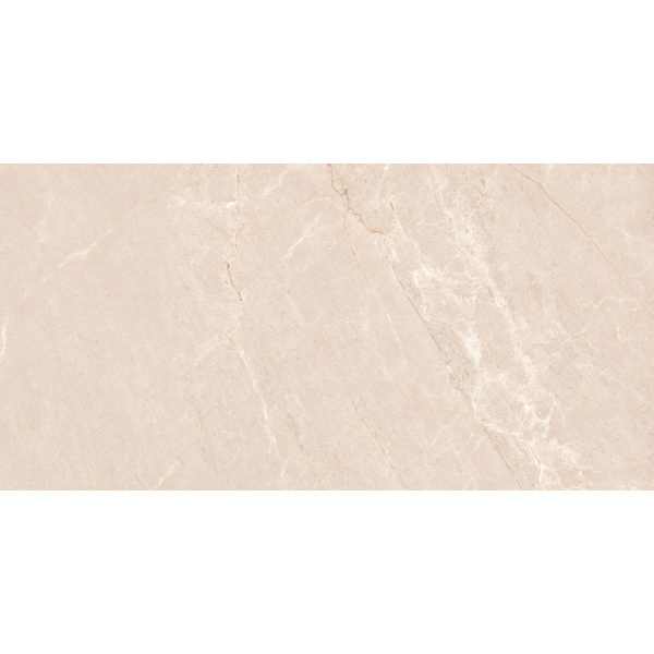Neodom Stone N20554 Persian Beige Matt 60x120
