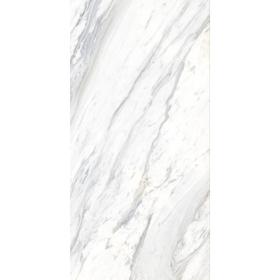 Ocean Ceramic 60x120 Calcatta Belgia 60x120