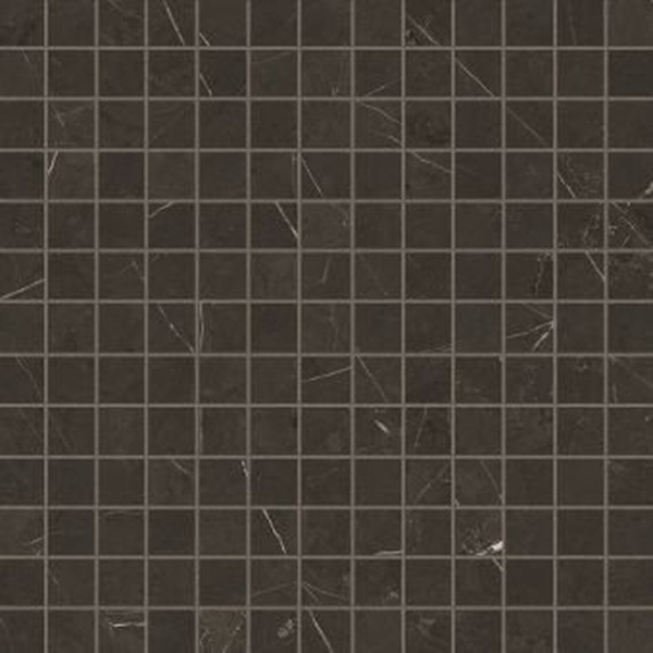 Caesar Anima ACKI Graphite Composizione F Lucidato 30x30