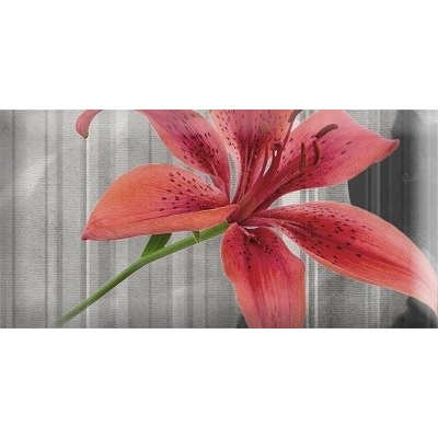 Absolut Keramika Monocolor Mix Flowers RBW 4 7.5x15