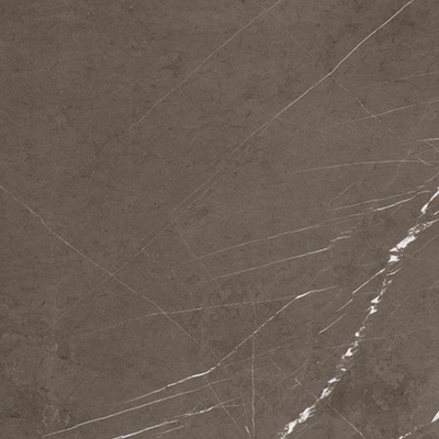 Casalgrande Padana Marmoker 10955706 Grafite Antibacterial 59x59