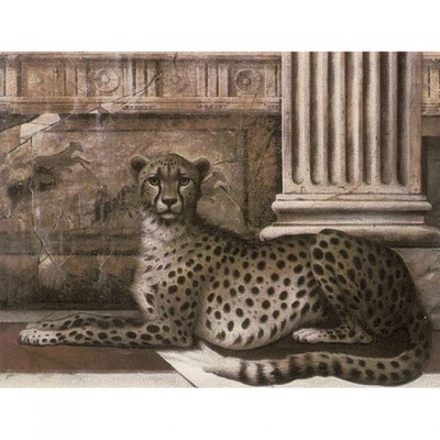 Petracer`s Grand Elegance Noblesse A B NOBLESSE 15x20