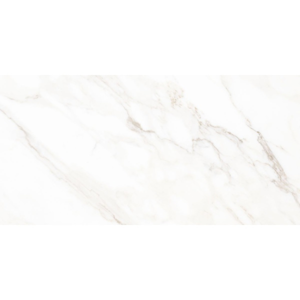 Neodom Classic Marble N40030 Calacatta Michael Carving 60x120