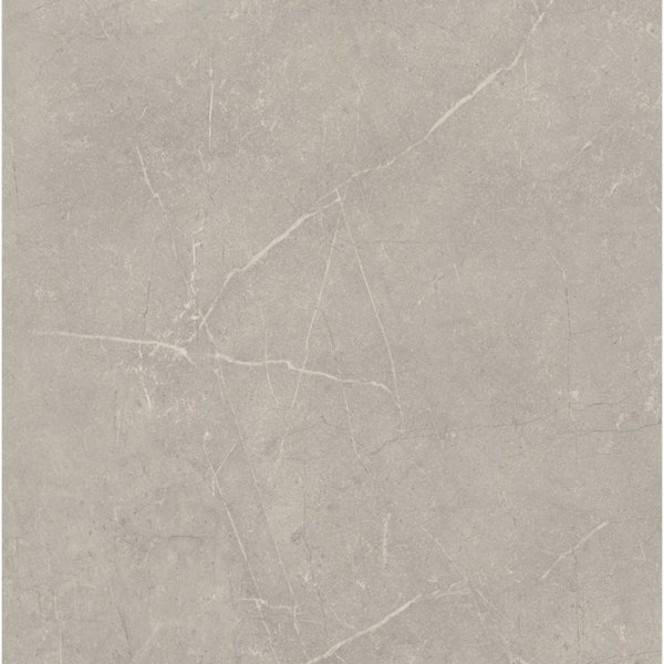 Cerdomus Mexicana 72934 Silver  Levigato Rett 60x60
