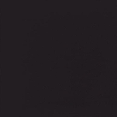 Casalgrande Padana Unicolore Technic 805706 Nero Antibacterial 40x40