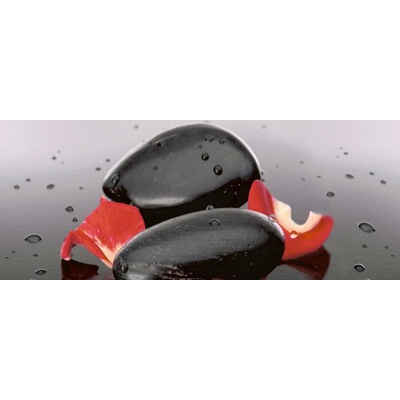 Cerrol Granit Escamas Centro 20x50