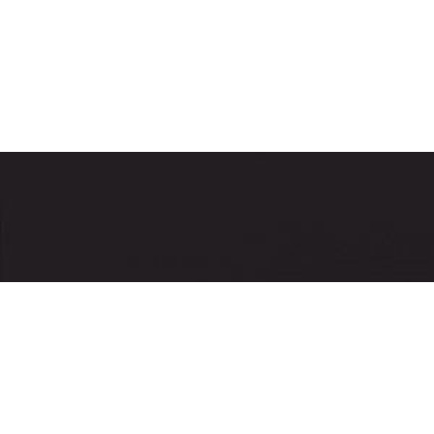 Casalgrande Padana Unicolore Technic 749406 Listello Nero Lev. 30x9