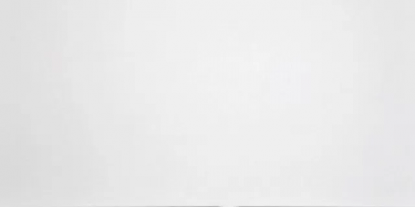 Grasaro Domino G-100/MR/600x1200x11 White 60x120