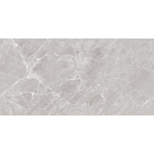 Ceradim Mramor Chic Silver Полированный 60x120