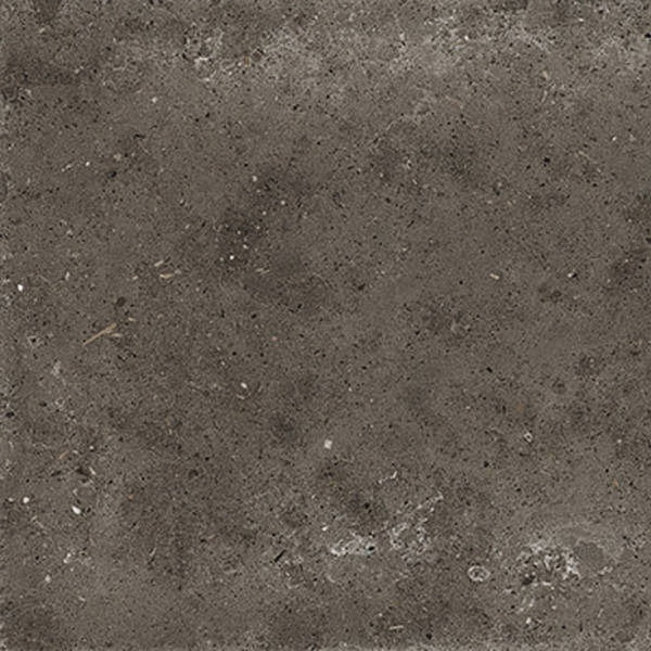 Iris Ceramica Whole 866724 Stone Tobacco Antislip 60x60