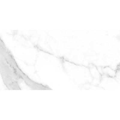 Halcon Ceramicas Capitol Super White Rectificado Matt 60x120