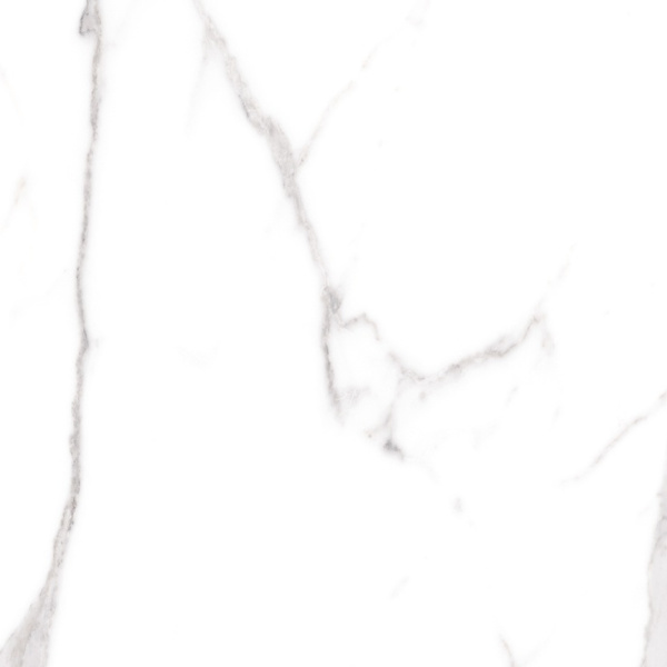 Cerdomus Omnia 88955 Statuario Safe 60x60