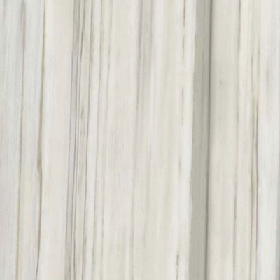 Casalgrande Padana Marmoker 2950422 Zebrino Lucido 60x60