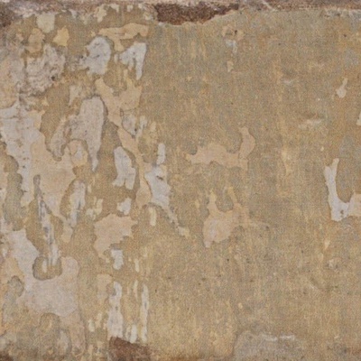 Serenissima Cir Havana Mojito 20x20