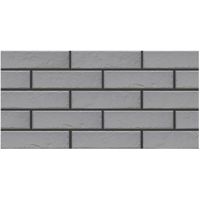 Cerrad Foggia Gris 24.5x6.5