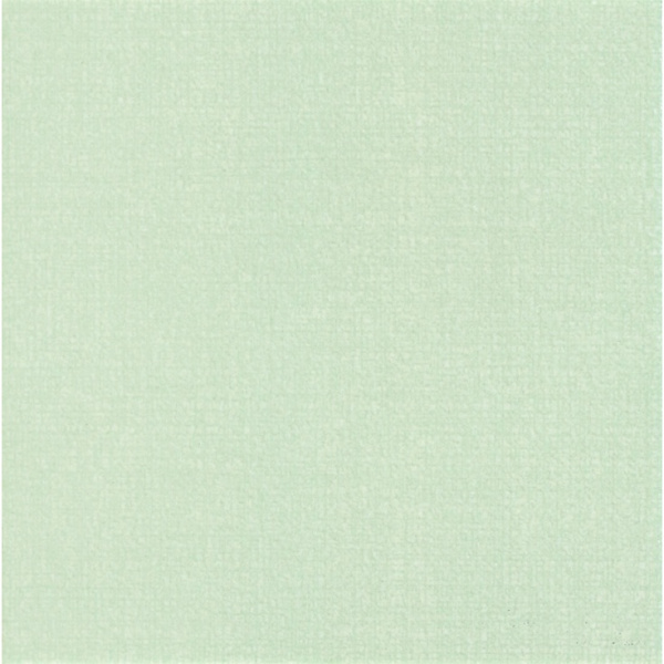 Faetano Feeling TF40 Verde Ciaro 20x20