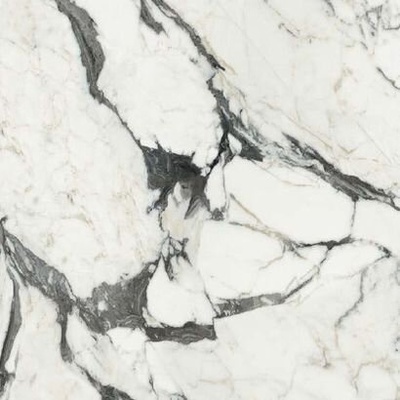 Rex Ceramiche Les Bijoux de Rex 766364 Calac Altissimo Matte Ret 80x80