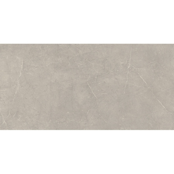 Cerdomus Mexicana 65282 Silver Matt Rett 60x120