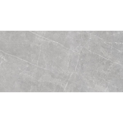 Goldis Tile Murano Gray Semi Polished Rectified 59,7x119,8