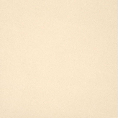 Casalgrande Padana Unicolore Technic 190001 Bianco Avorio 12 20x20