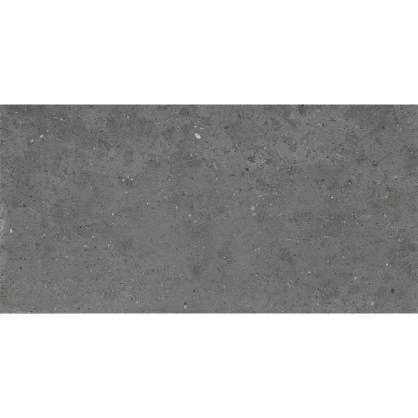 Iris Ceramica Whole 892725 Stone Grey Antislip 60x120