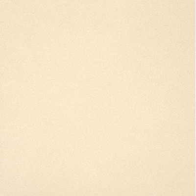 Casalgrande Padana Unicolore Technic 807001 Bianco Avorio Levigato 40x40