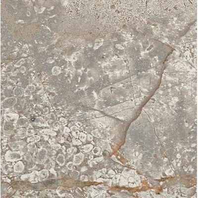 Atlas Concorde Russia Empire 610090002383 Silver Root Bottone 7.2x7.2