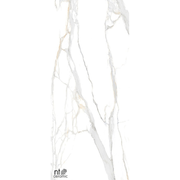 NT Ceramic Atlas Home NTT3603С Calacatta Empire 120x280
