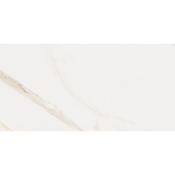 Cerdomus Omnia 88932 Calacatta Safe 60x120