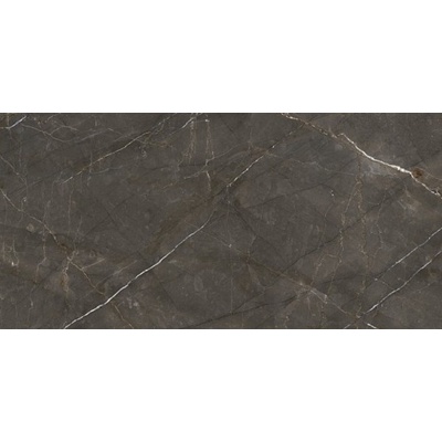 Ariostea Marmi Classici Pulpis Grey Luc 120x60