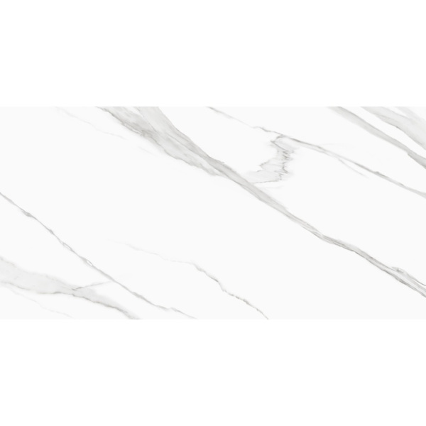 New Trend Life D120239M Calacatta 60x120