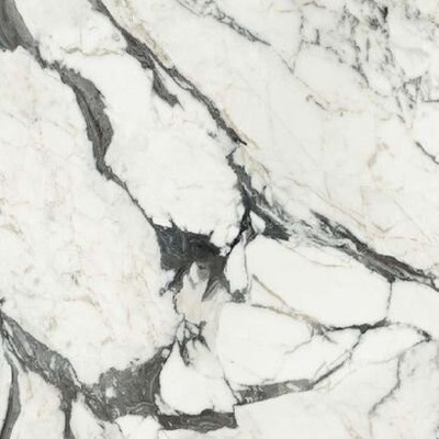 Rex Ceramiche Les Bijoux de Rex 766342 Calac Altissimo Glossy Ret 60x60