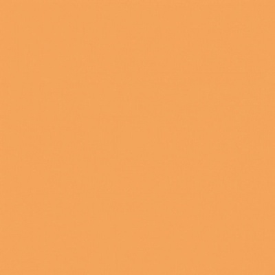 Rako Color One WAA1N272 Оранжевая 20x20