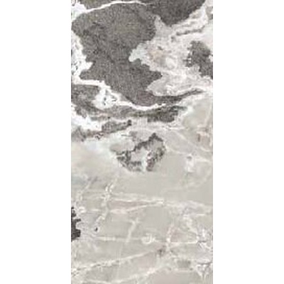 Casa Dolce Casa Onyx&amp;More 765470 Silver Blend Glossy 60x120