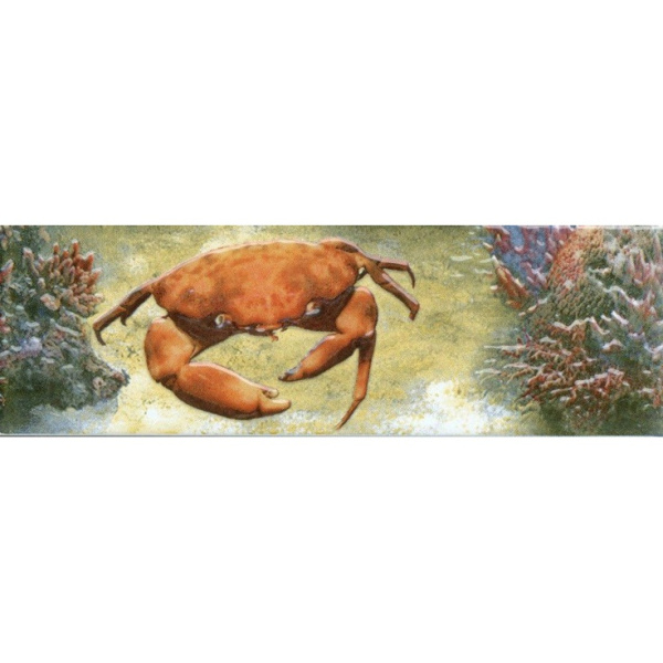 М- Квадрат Адриатика 271911 Фрегат краб 8x25