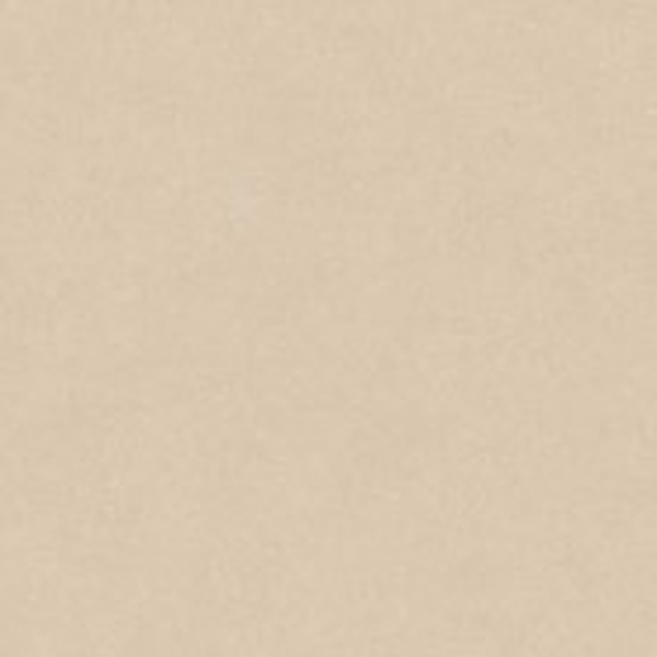 Porcelanosa Terra Clay L 120x120