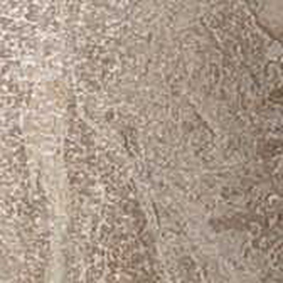 Atlas Concorde Russia Privilege 610090000765 Bottone Grigio Lapp 7.2x7.2