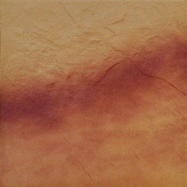 Cerrad Jesienny Lisc/Autumn Leaf 5903263445470 Tile 30x30