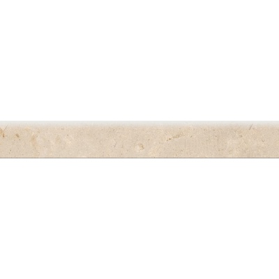 Museum Hettangian Floor R.I/60/EP 8x60
