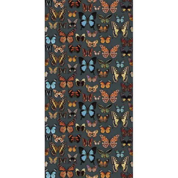 ABK Wide & Style 0007652 Papillon 60x120