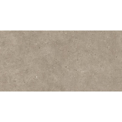 Impronta italgraniti Silver Grain SI04BA Taupe 60x120