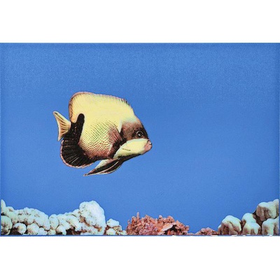 Атем Mono Fish 1 40x27.5